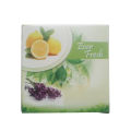 Ever Fresh Lemon Bathroom Air Freshener Hanger Block. 