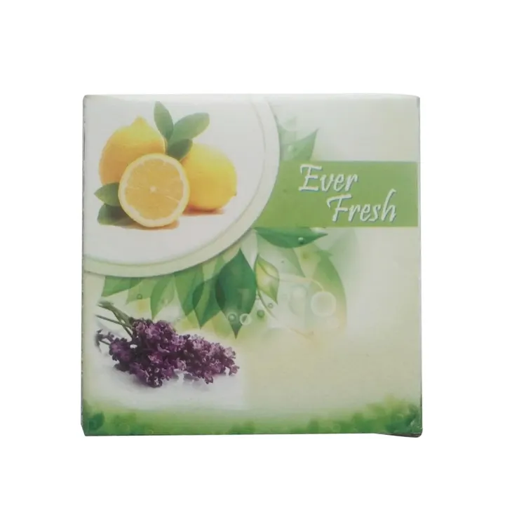 Ever%20Fresh%20Lemon%20Bathroom%20Air%20Freshener%20Hanger%20Block%20-%20Image%202