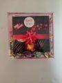 Square shape Chocolate Gift Box. 