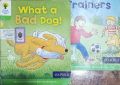 Free oxfard Readers Book for grade 2. 