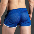 2025 New Men's Breathable Sports Pants, Quick-Drying Mesh Forging Pants, Fitness Men's Sports Shorts, Training Swimming Beach.
