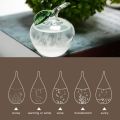 Desktop Stylish Apple Bird Swan Shaped Crystal Weather Forecast Bottle Glass Storms Weather Predictor Monitor Barometer For Home. 