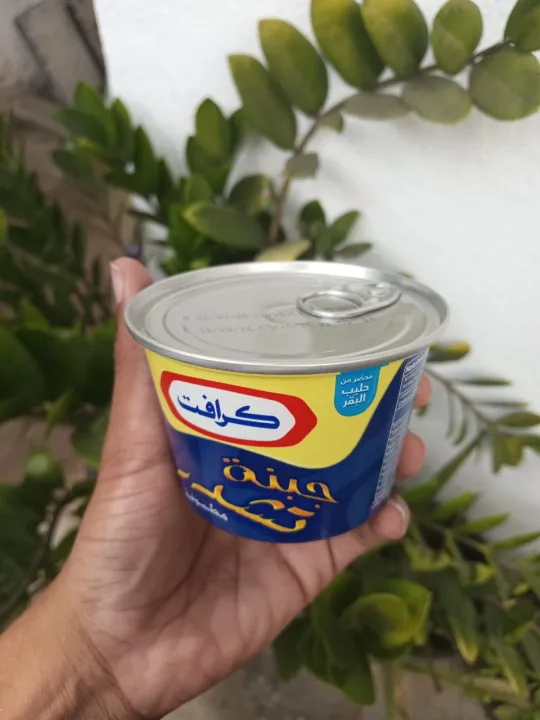 Kraft%20cheddar%20cheese%20%E2%80%93%20100g%20,%20190g%20COW'S%20MILK%20-%20Image%203