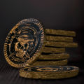 30pcs Pirate Gold Coins, Silver Coins Copper Coins Gemstones Children's  Halloween Props Plastic Fake Gold Acrylic Toys. 