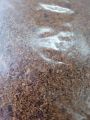 CoCo Khad for Seeds Covered of Flowers Seedling 280grm packing. 