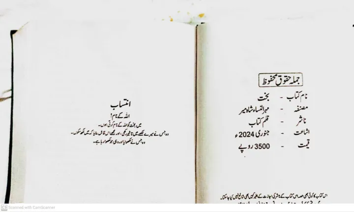 Bakht%20by%20mehrun%20nisa%20shah%20meer%20-%20Image%204