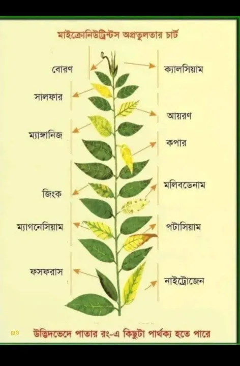 Mobomin%20Plant%20Nutrient%20Micronutrient%20Fertilizer%20100%20gm%20Intact%20Packet%20-%20Image%206