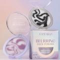HANDAIYAN Light Mist Water Resistant Oil Control Brightening Complexion Matte Concealer Setting Powder with Powder Puff Makeup. 