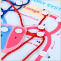 Montessori Human Body Parts Quiet Book,Toddler Toys Pretend Play Human Anatomy Book, Teaching Body Parts Felt Board  Stories. 