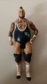 WWE wrestlers action figure. 