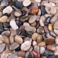 River Rocks, Pebbles, (1.5kg) 1-2 Inches Garden Outdoor Decorative Stones, Natural Polished Mixed Color Stones. 