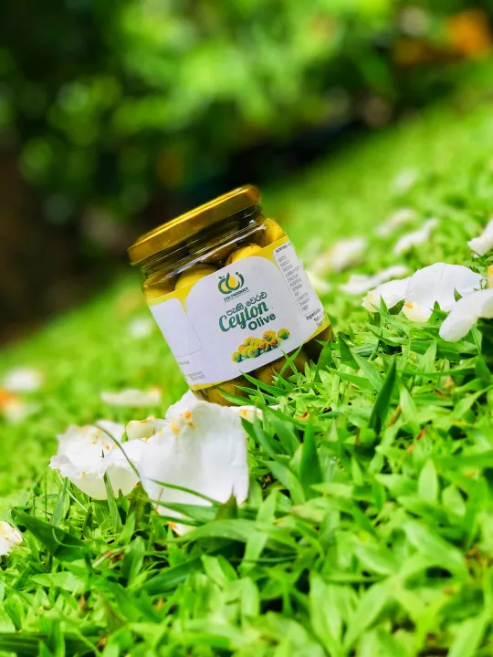 Brine%20Ceylon%20Olive,%20Ceylon%20Olive%20,%20Fruit%20,%20Brine%20Fruit%20,%20Fruit%20sri%20lanka,%20ceylon%20fruit%20,%20ceylon%20,%20olive,%20-%20Image%204