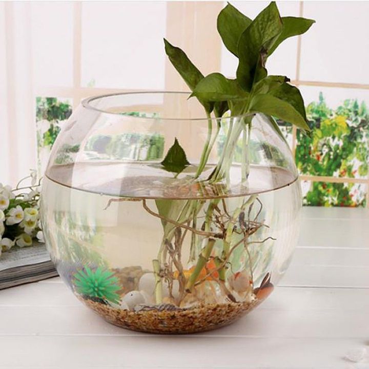 Round%20Transparent%20Crystal%20Glass%20Bowl%20Clear%20Sphere%20Vase%20Fish%20Tank%20-%20Image%207