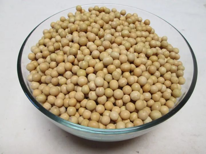 GreenFinity:%20Soybeans%20(SOYA%20Bean)%20-%20400Gms%20-%20Image%204