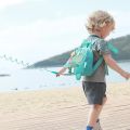 Toddler Harness Backpack Leash Cute Kid Backpacks with Anti Lost Wrist Link Mini Child Backpack Harness Leashes for Baby Girls.