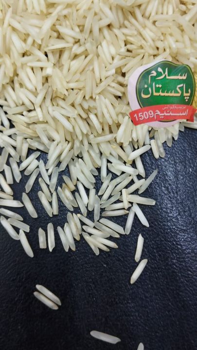 basamti%20rice%201121%20extra%20long%20grain%20(salam%20pakistan)%20full%20length%20rce%20-%20Image%202