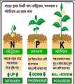 NPK 12 61 00 For Plants MONO AMMONIUM PHOSPHATE 100 gm Repack Packet Water Soluble Fertilizer FOR VEGETABLES FLOWER HYDROPONICS and FRUITS Speciality Crystalline Aries Agro Indian.