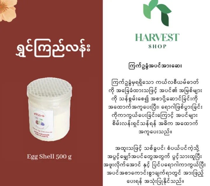 %E1%80%A1%E1%80%95%E1%80%84%E1%80%BA%E1%80%A1%E1%80%AC%E1%80%B8%E1%80%86%E1%80%B1%E1%80%B8%20-%20Image%203