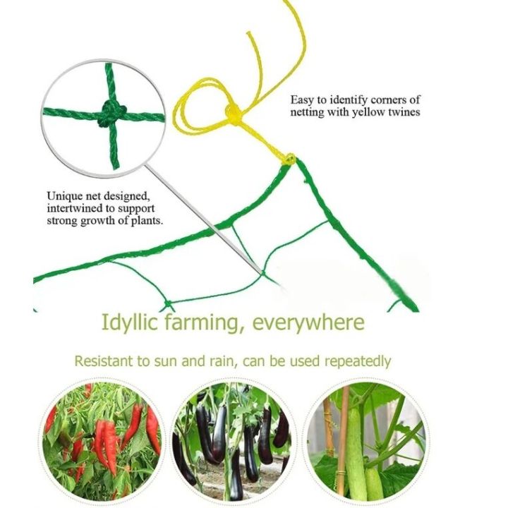 2*100m%20vegetable%20netting,%20vegetable%20trellis%20netting,%20nylon%20mesh%20netting,%20melon%20netting,%20cucumber%20planting%20netting%20-%20Image%204