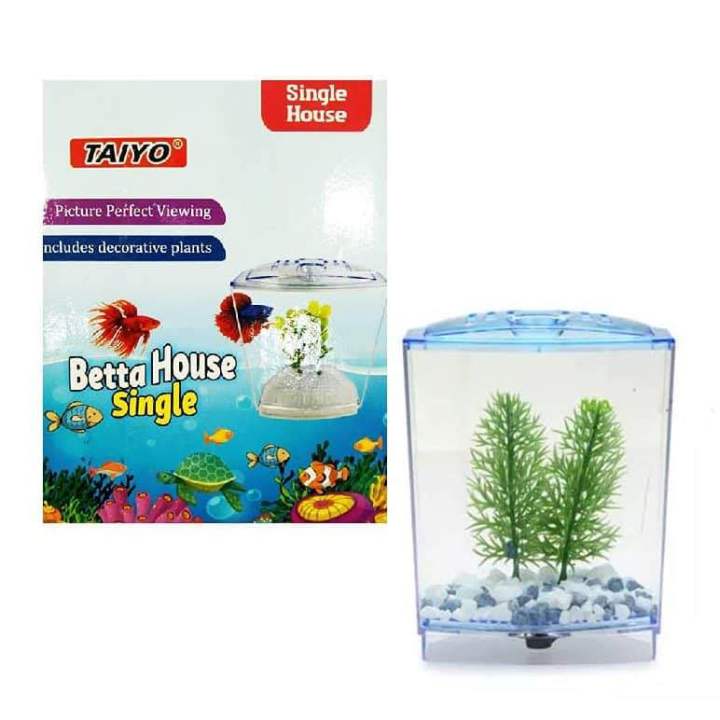Single Betta Fish Box – Compact Aquarium Tank for Betta Display | Daraz ...