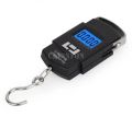 50Kg/10g Portable Hanging Scale Pocket Digital Scales Electronic Weights Mini Spring Balance For Luggage Suitcase. 