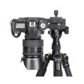 Metal Quick Release Plate with 1/4''-20 Camera Screw Tripod Mount Plate Fits Standard for DSLR Camera Tripod Ball Head.
