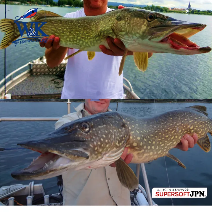2026%20New%20Soft%20Bait%205%20Size%20Hoduller%20Swimbait%20for%20Pike%20Zander%20Snook%20Perch%20Fishing%20Lures%20with%203D%20Eyes%20JIG%20Head%20Rig%20Soft%20Lure%20-%20Image%206