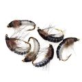 6/12Pcs #10 Caddis Pupae Nymph Fly Trout Fishing Bait Artificial Insect Lures Fishing Hook Baits. 