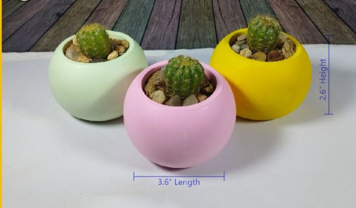 Round%20shape%20vase%20(Plantable%20decorative%20vase)%20Home%20and%20living%20room%20decorative%20-%20Image%206