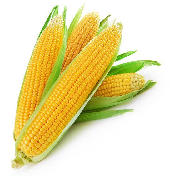 Corn 🌽 seeds | 30+ seeds | O.P variety | Summer 🌞 vegetable seeds | A.S ...