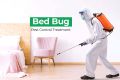 Bed Bug Treatment / Pest Control per room. 