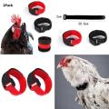 2pcs No Crow Collar for Roosters No Crowing Belt Neckband Poultry Supplies Anti Crow Rooster Collar No Noise.