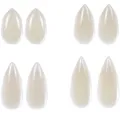 Vampire Fangs toy cosplay free glue. 