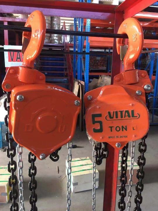 Vital%20Chain%20Pully%20Block,%205Ton,%205Meter%20-%20Image%207