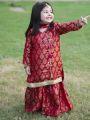 mahndi dresses for baby girl's  beautiful banrsi fabric with gota work. 