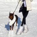 Y2K Fluffy Mid-calf Boots Winter Women Fashion Snow Boots Warm Cotton Shoes. 