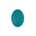 Hand Therapy Stress Relief Ball  Squeeze Ball for Muscle Relaxation Rehabilitation Carpal Tunnel Prevention & Stress Relief. 