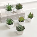 6PCS Home Decoration, Mini Evergreen Artificial Succulent Small Potted Plants. 
