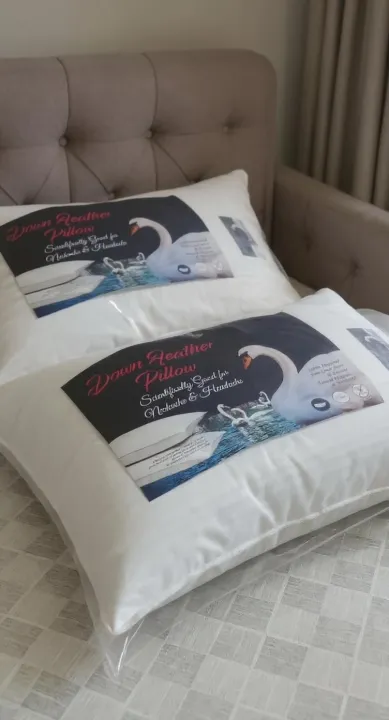 Duck%20Feather%20&%20Down%20Pillow%20100%25%20Pure%20With%20Life%20Time%20Warranty%20-%20Image%202