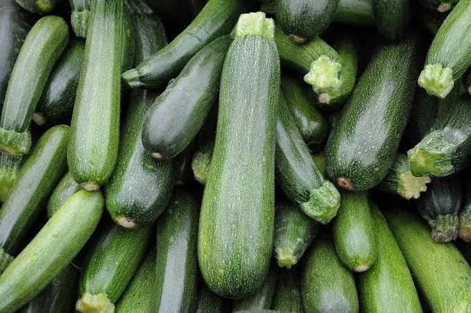 Zucchini%20Squash%20Vegetable%20Seed%201%20packet%20-%20Image%202