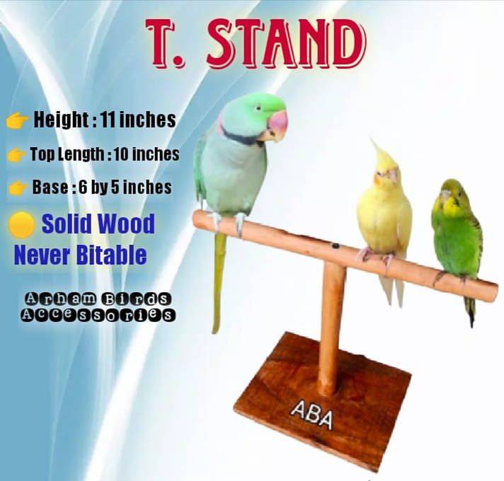 T Stand For Parrots (Solid Wood), Best Sitting Stand for All Parrots (Birds Accessories), Perch and Swings