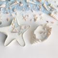 1pc Starfish Tray Silicone Mold Cement Candle Holder Plaster Jewelry Display Tray Plate Resin Storage Tray Casting Silicone Mold. 