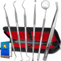 6 pack Plaque Remover for Teeth, Professional Dental Hygiene Cleaning Kit, Stainless Steel Tooth Scraper Plaque Tartar Cleaner, Dental Pick Scaler Oral Care Tools Set -. 