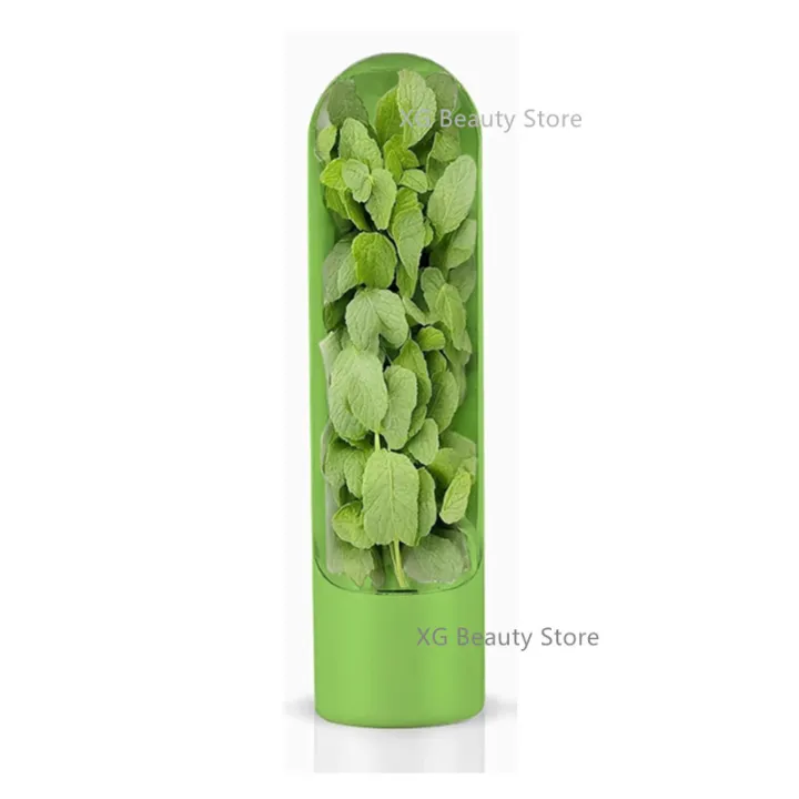 1/2/3PCS%20Green%20Fresh%20Herb%20Keeper%20Vanilla%20Vegetables%20Fresh%20Preservation%20Bottle%20Herb%20Saver%20Storage%20Container%20Kitchen%20Gadgets%20%EF%BB%BF%20-%20Image%207