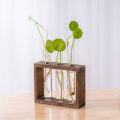 Hydroponic Plants Container with Wood Frame Transparent Glass Test Tube Vase Flower Pot Home Tabletop Bonsai Decorations Crafts. 