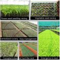 200 holes seedling tray for seeds stater (Pack of 1,2,4,6,8,10). 