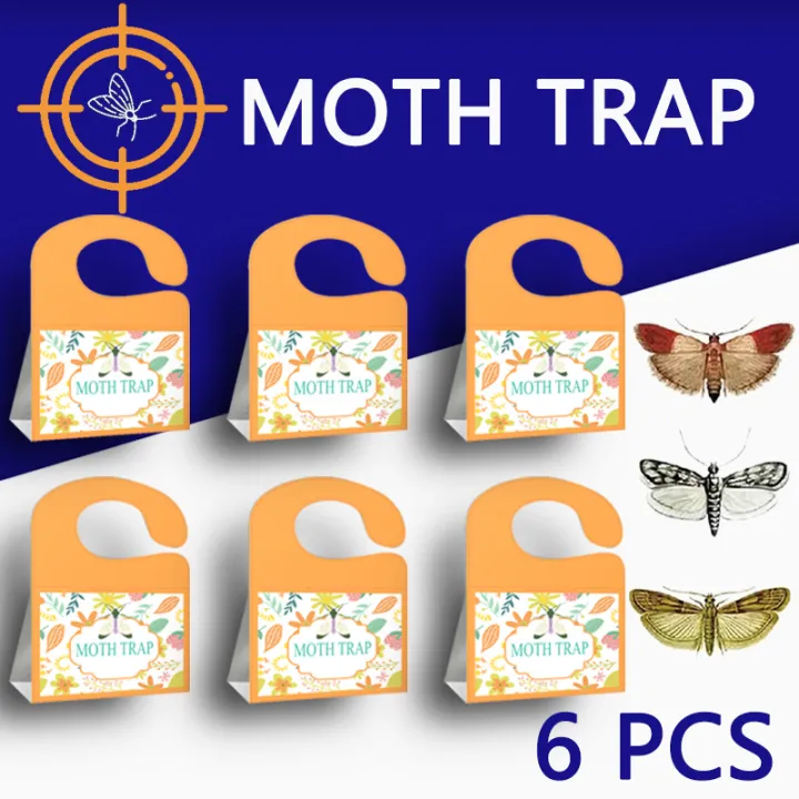 SilentKing%206PCS%20Moths%20Traps%20Pantry%20Clothes%20Kitchen%20Food%20Home%20Garden%20Pest%20Control%20Moth%20Traps%20Pheromone%20Moths%20Sticker%20Moths%20Trap%20-%20Image%208