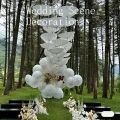 A white paper umbrella for wedding decoration - handmade traditional Chinese bridal sunshade - photo prop and party accessory.