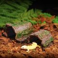 Simulation Reptile Hideout Escape Cave Bark Texture Tree Hole Shelter PVC Hollow Turtle Tank Ornaments Terrarium Decoration.
