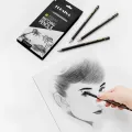 Professional Drawing Sketching Pencil Set, 12 Pieces Art Pencils Graphite Shading Pencils for Beginners & Pro Artists. 
